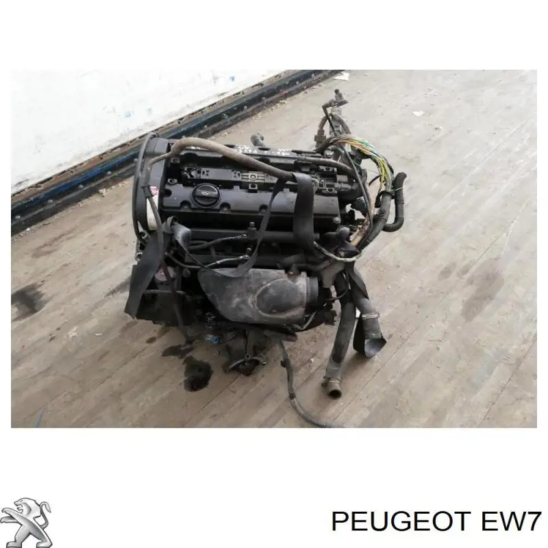 Motor montado 6FZ Peugeot/Citroen