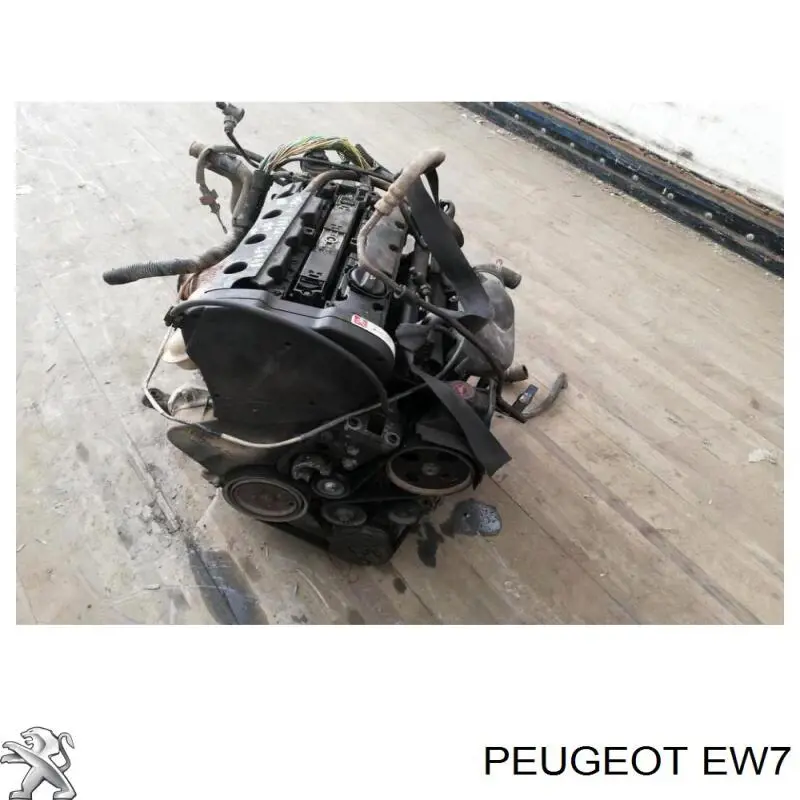 Motor montado Peugeot/Citroen 6FZ preço, a partir de 568,66 USD