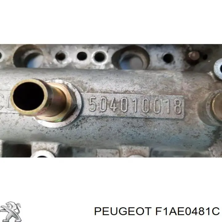 F1AE0481C Peugeot/Citroen Motor montado