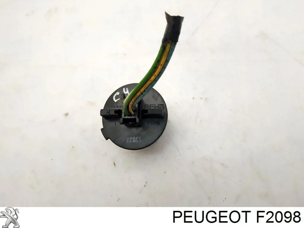 F2098 Peugeot/Citroen 