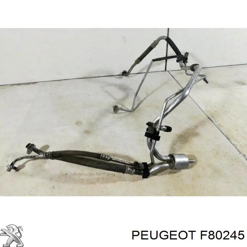 F80245 Peugeot/Citroen 