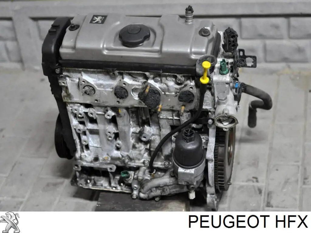 HFX Peugeot/Citroen Motor montado