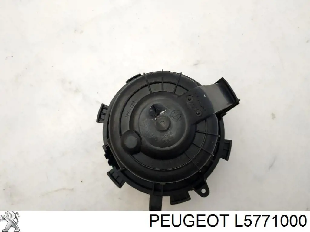  L5771000 Peugeot/Citroen