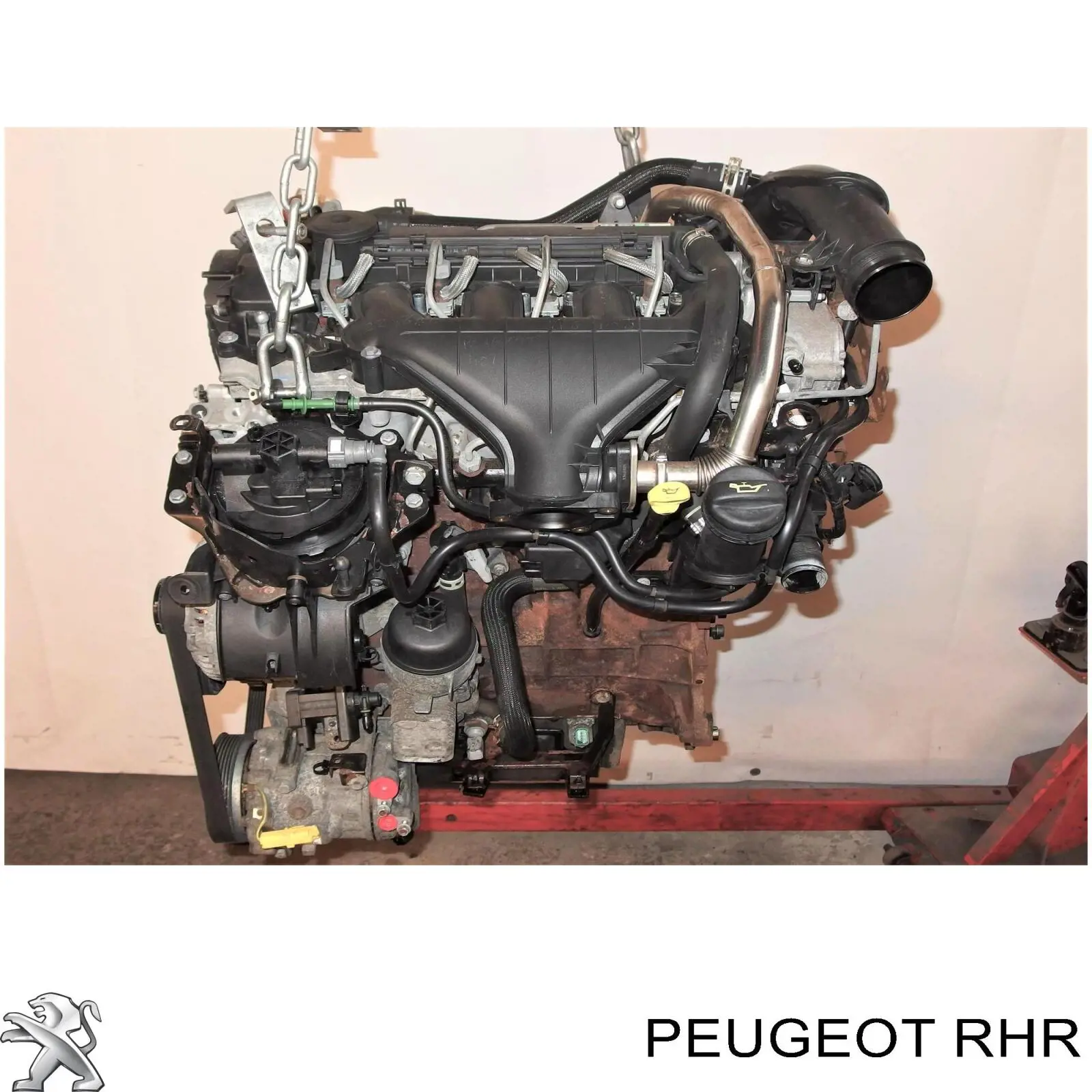 Compre RHK Fiat/Alfa/Lancia Motor montado