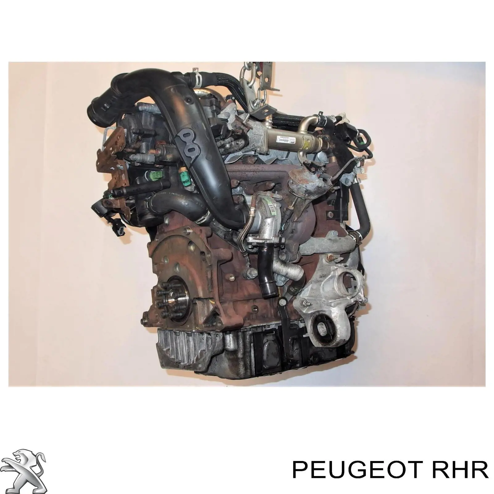 Compre RHR Peugeot/Citroen Motor montado