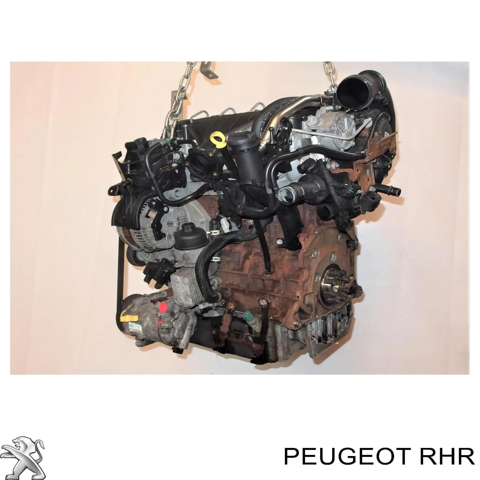 RHK Fiat/Alfa/Lancia Motor montado