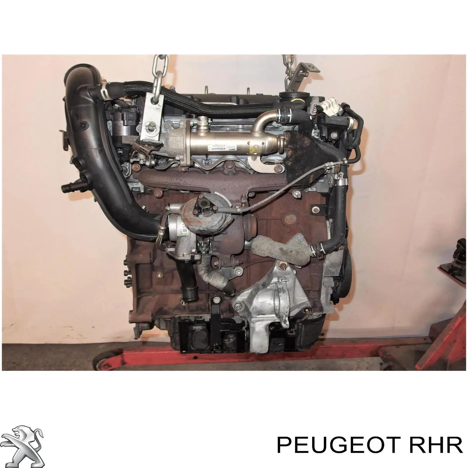 Motor montado Fiat/Alfa/Lancia RHK preço, a partir de 522,11 USD