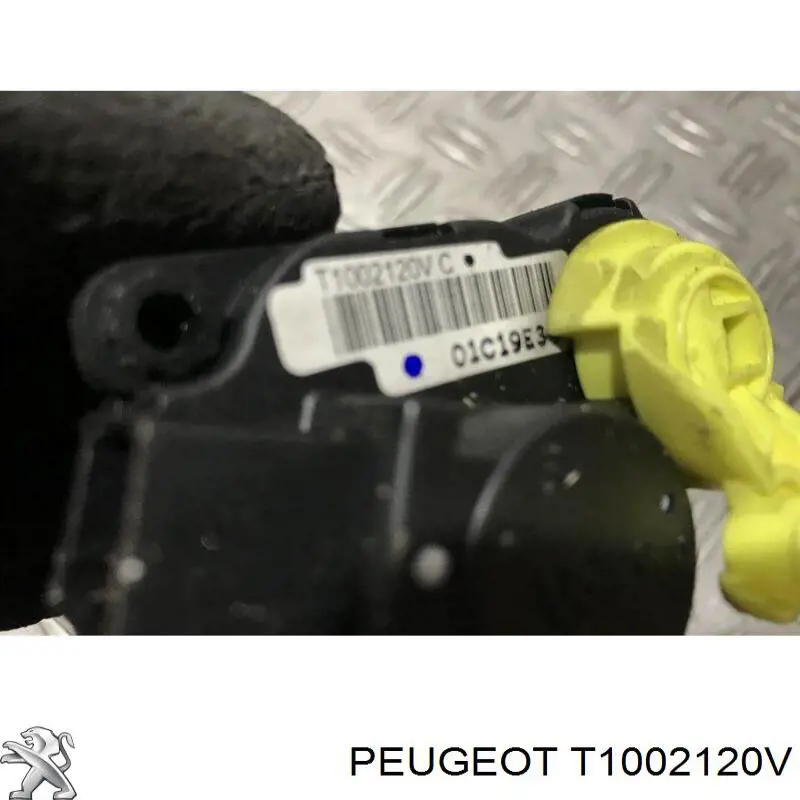 T1002120V Peugeot/Citroen 