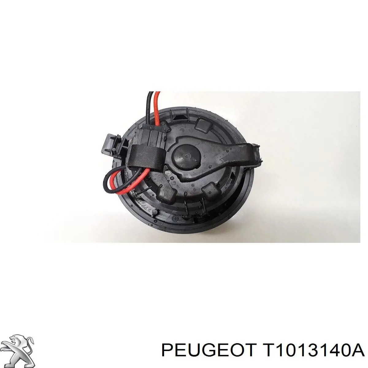  Peugeot/Citroen T1013140A