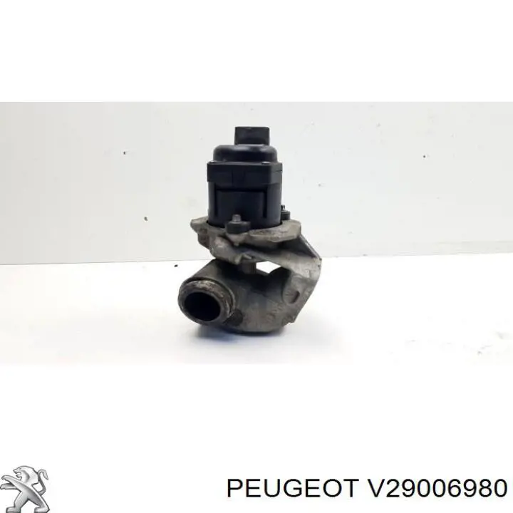 Compre V29006980 Peugeot/Citroen Válvula EGR de recirculação dos gases