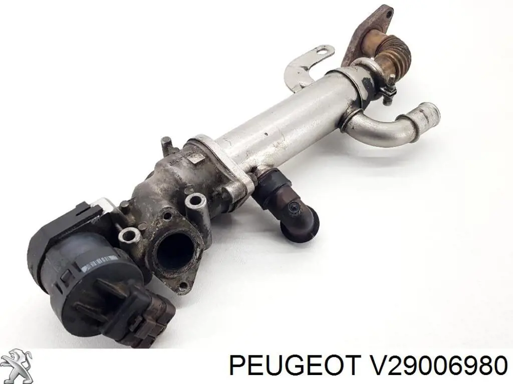 Válvula EGR de recirculação dos gases V29006980 Peugeot/Citroen