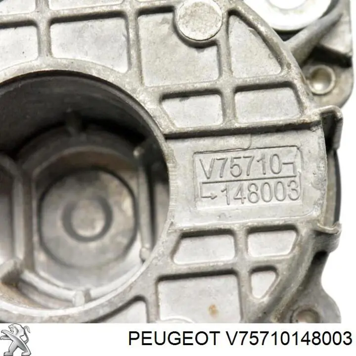 V75710148003 Peugeot/Citroen 