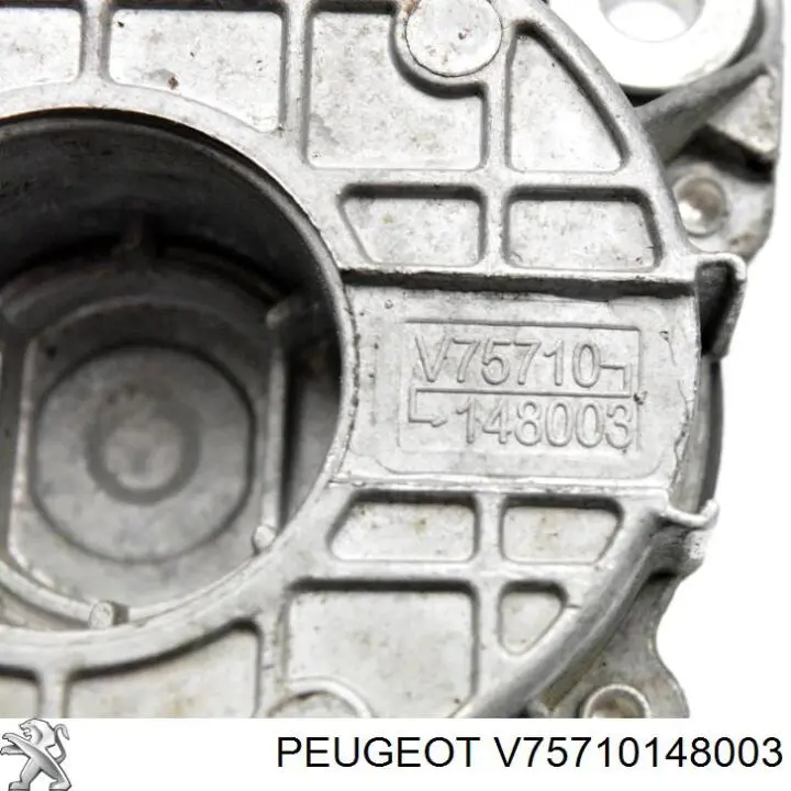  V75710148003 Peugeot/Citroen