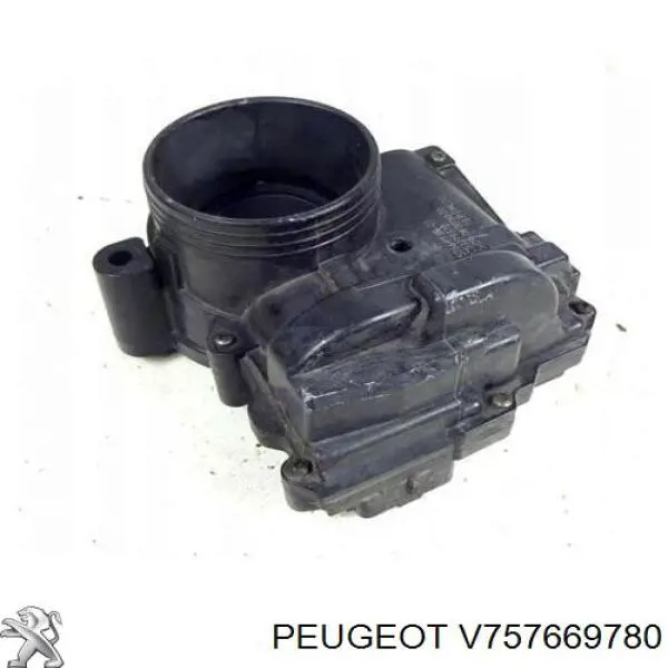  V757669780 Peugeot/Citroen