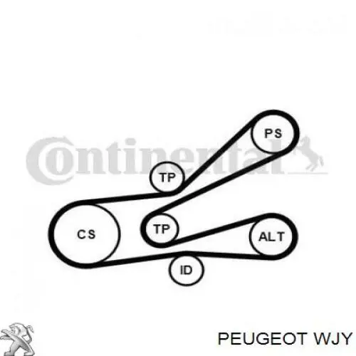 WJY Peugeot/Citroen Motor montado