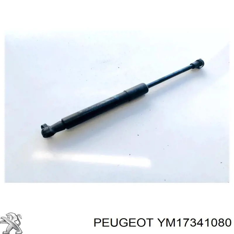 YM17341080 Peugeot/Citroen Amortecedor da capota