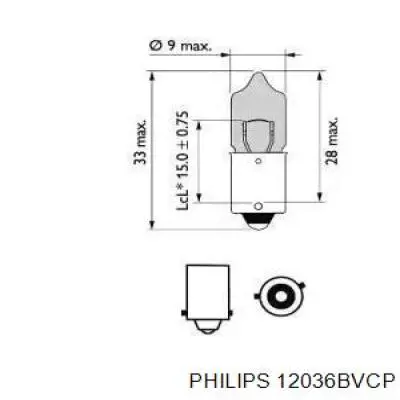 Compre 12036BVCP Philips Lâmpada