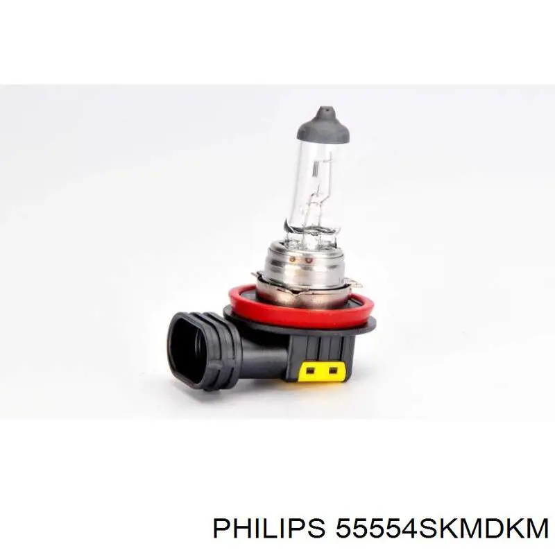 Compre 55554SKMDKM Philips Lâmpadas das luzes, kit para automóvel