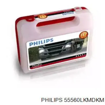 55560LKMDKM Philips Lâmpadas das luzes, kit para automóvel