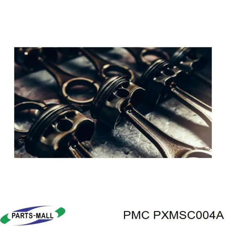 Pistão com passador sem anéis, STD PXDAE4F35480002 AMP/Paradowscy