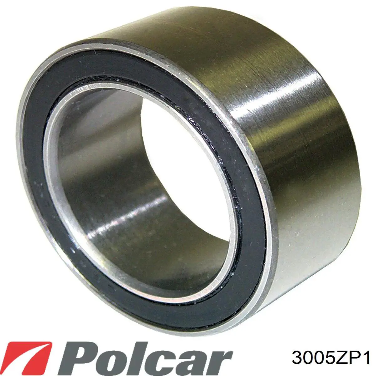 3005ZP1 Polcar Tanque de combustível
