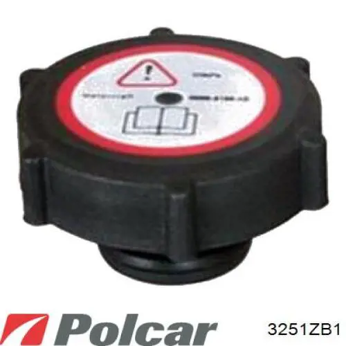 Tanque de expansão do sistema de esfriamento 3251ZB1 Polcar