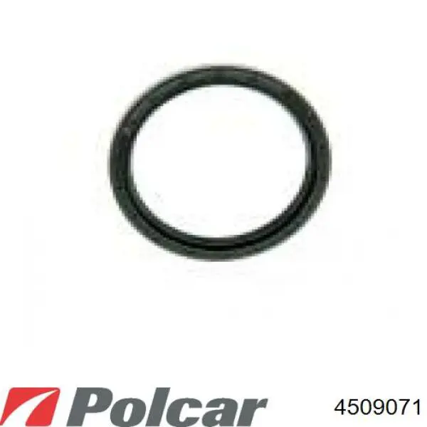 Compre 450907 Polcar Pára-choque dianteiro
