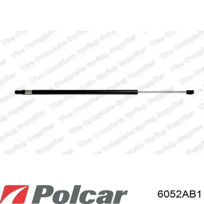 Compre 8200021975 Renault (RVI) Amortecedor de tampa de porta-malas (de 3ª/5ª porta traseira)
