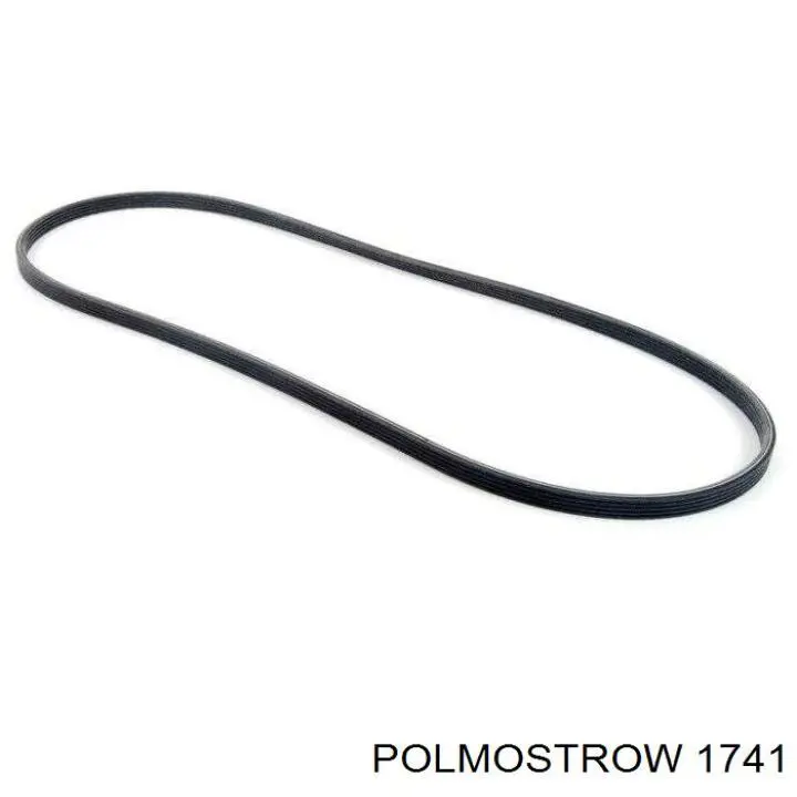 1741 Polmostrow Silenciador, parte central