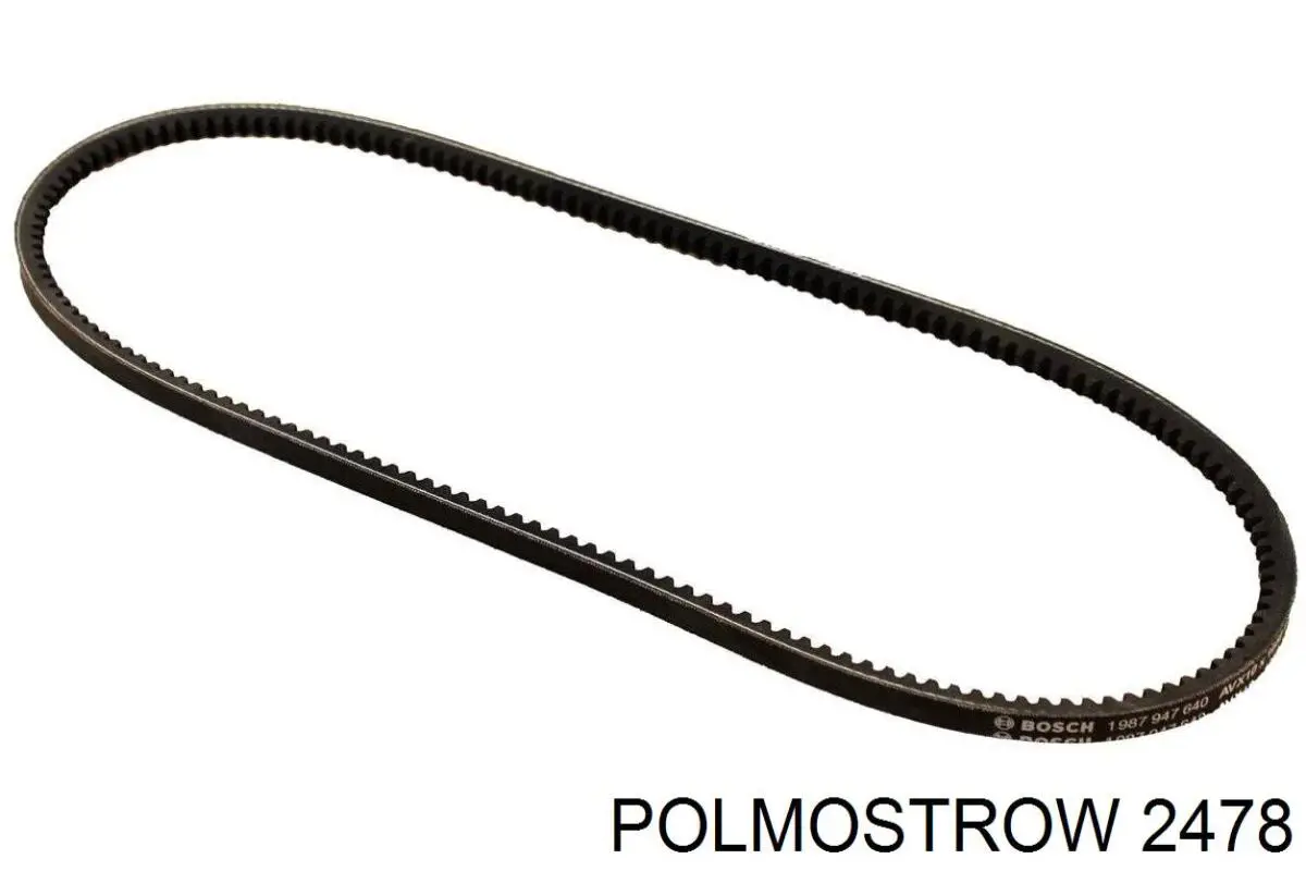 2478 Polmostrow Silenciador, parte central