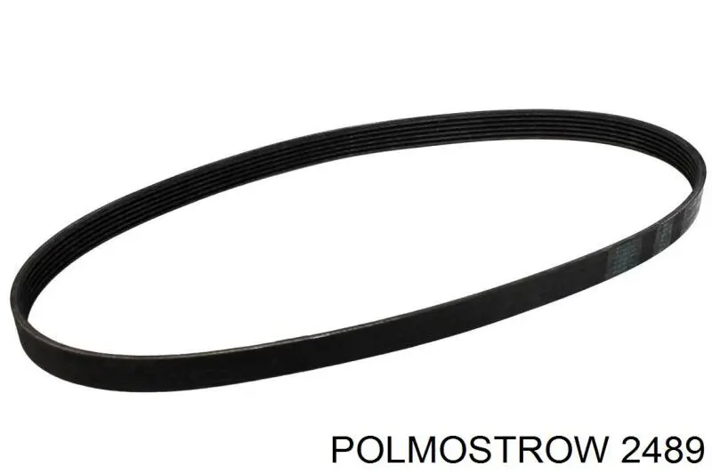 2489 Polmostrow Silenciador, parte traseira