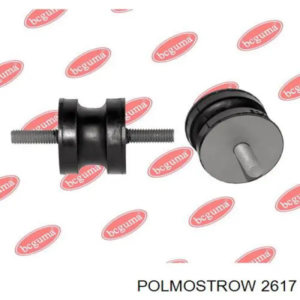 2617 Polmostrow Silenciador, parte central