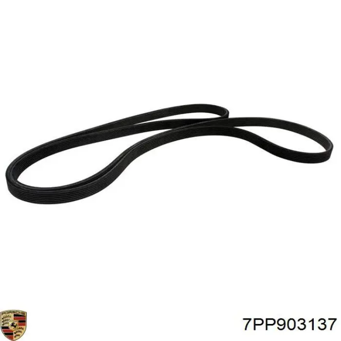 7PP903137 Porsche Correia dos conjuntos de transmissão