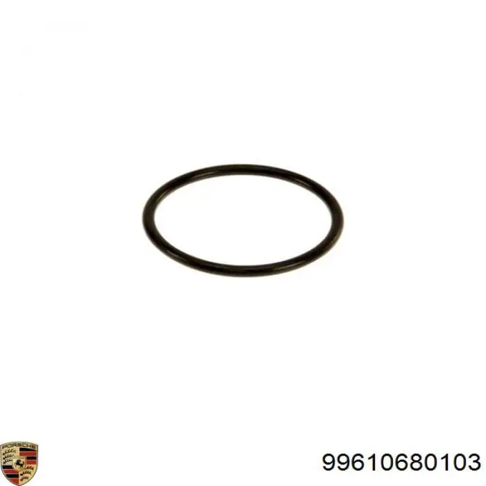 Vedante de termostato 17289781 Iveco