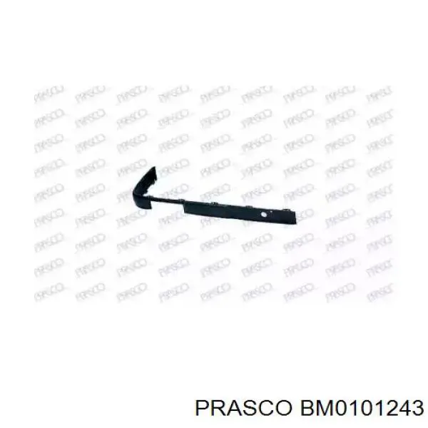 Compre BM0101243 Prasco Placa sobreposta direita do pára-choque dianteiro
