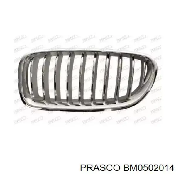 Grelha do radiador BMW 5  F10