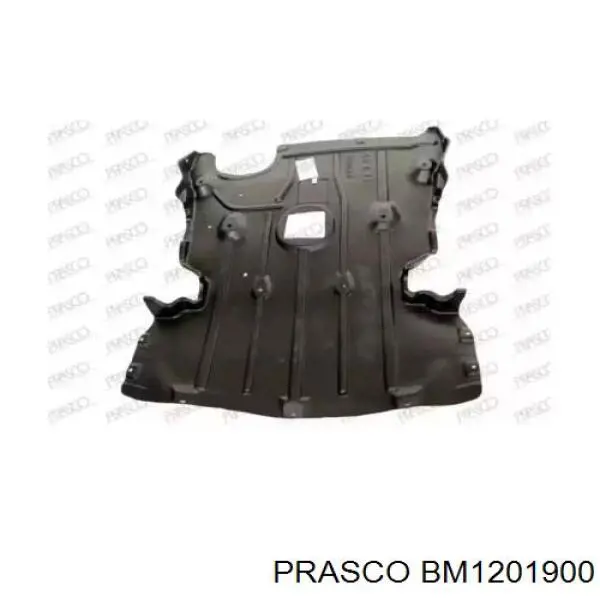 51757129318 BMW Proteção de motor, de panela (da seção de motor)