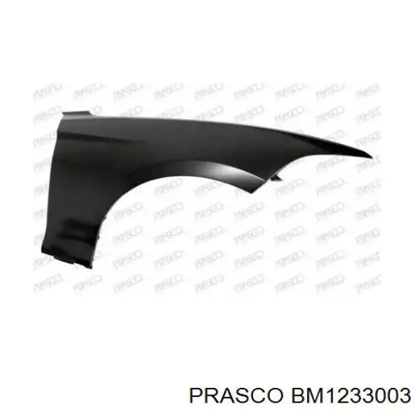 BM1233003 Prasco Pára-lama dianteiro direito