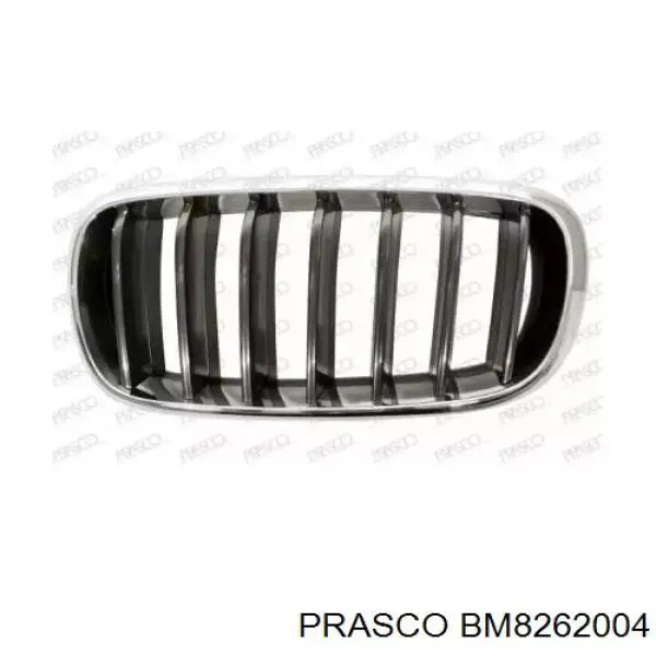 BM8262004 Prasco Grelha do radiador esquerda