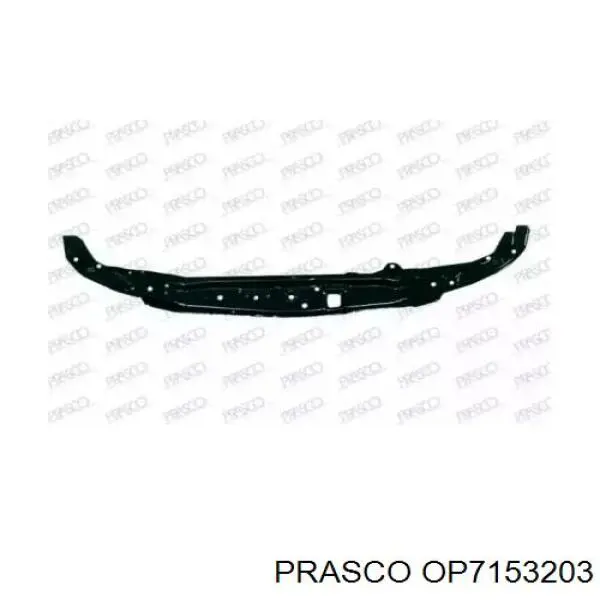Compre OP7153203 Prasco Suporte do radiador montado (painel de montagem de fixação das luzes)