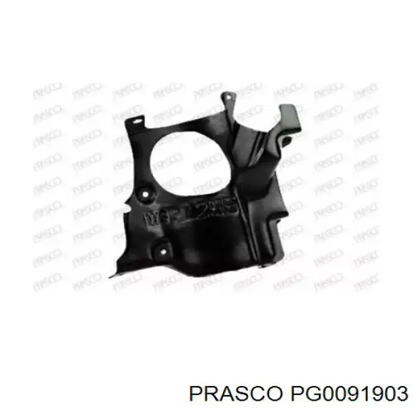 5723348 Polcar Proteção de motor direito