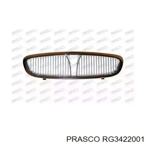 Grelha do radiador Rover 25  RF