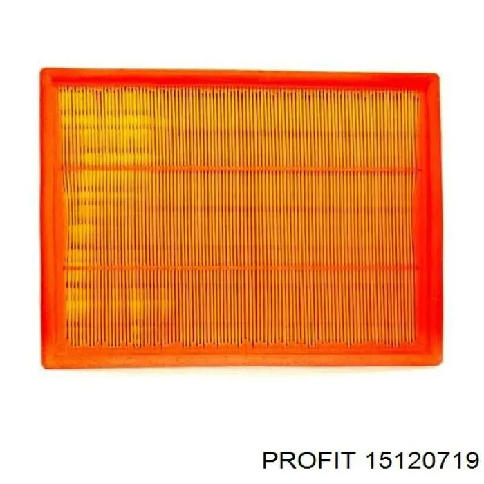 Compre 15120719 Profit Filtro de ar