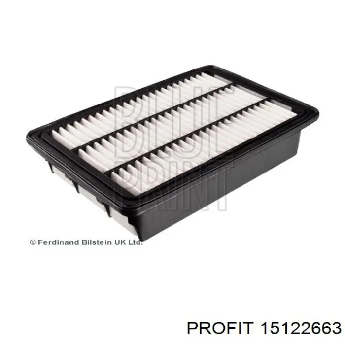 Compre 15122663 Profit Filtro de ar