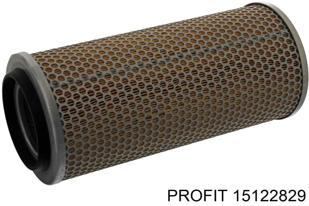 15122829 Profit Filtro de ar