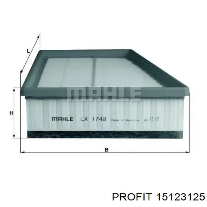 Compre 15123125 Profit Filtro de ar