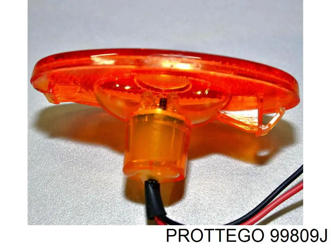 Posição (pisca-pisca) 4388975 VAN Wezel