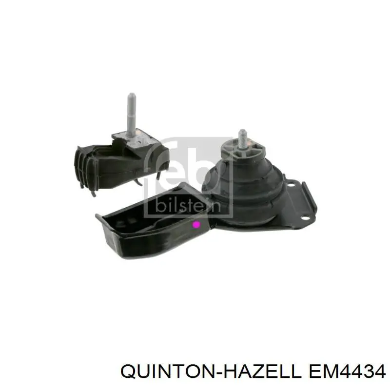 Compre EM4434 QUINTON HAZELL Coxim (suporte) direito de motor