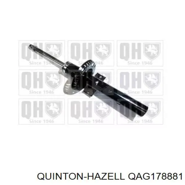 Compre QAG178881 QUINTON HAZELL Amortecedor dianteiro