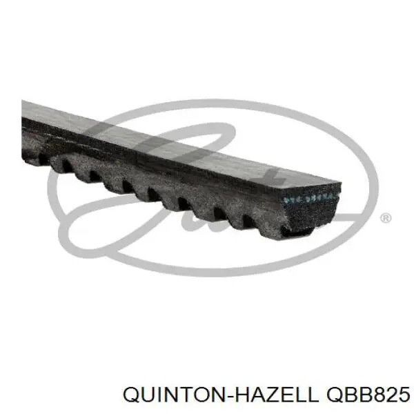 Compre AVX13X830 Continental/Siemens Correia dos conjuntos de transmissão